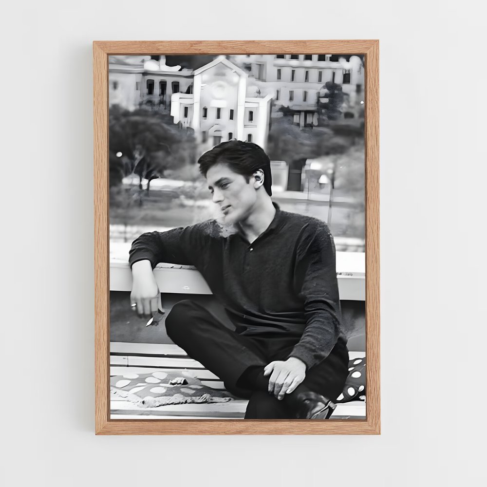 ap-alain delon-8 cadre Bois clair