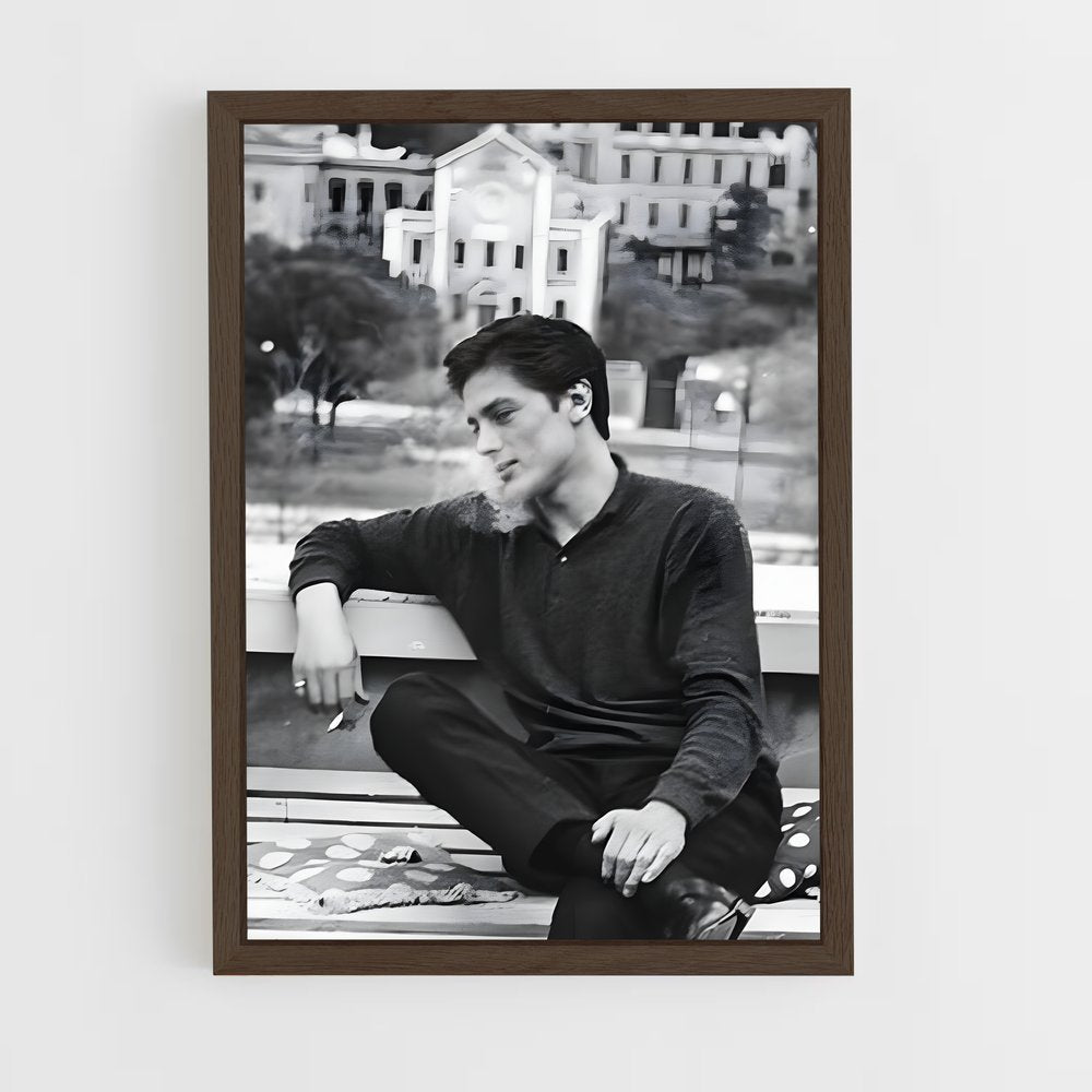 ap-alain delon-8 cadre Bois foncé