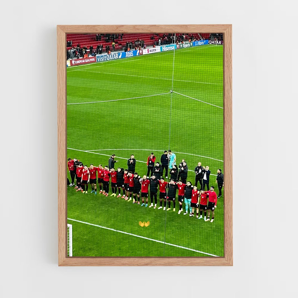 ap-albania national football team-4 cadre Bois clair