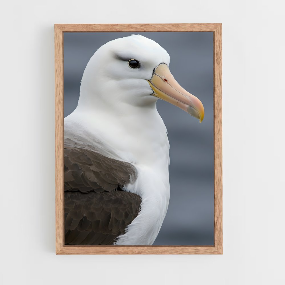 ap-albatross-1 cadre Bois clair