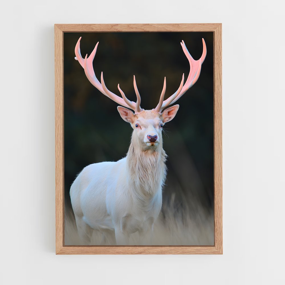 ap-albino deer-1 cadre Bois clair
