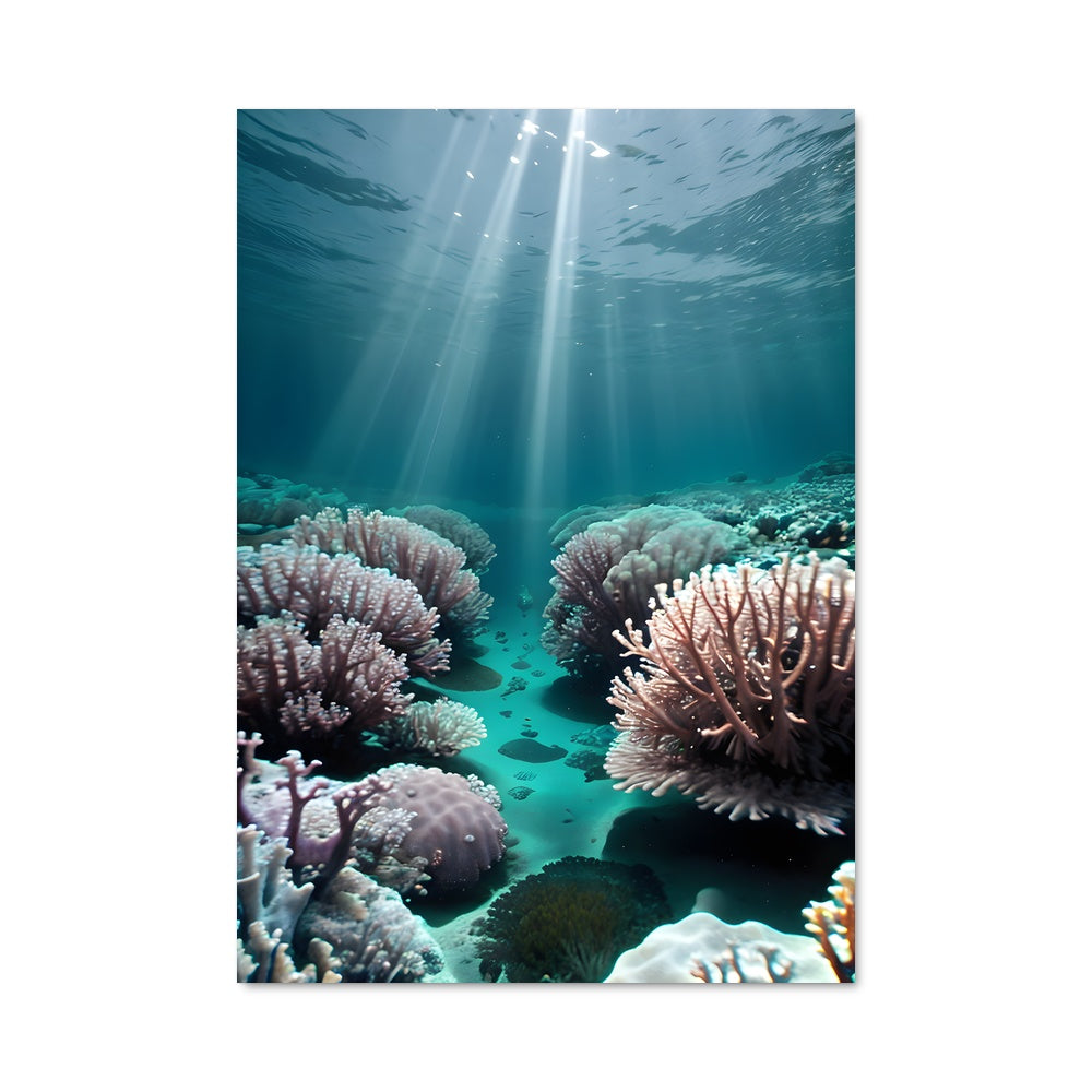 Poster Rayons de Corail