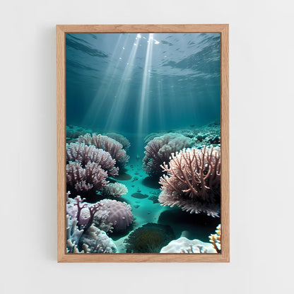 ap-aldabra atoll-1 cadre Bois clair