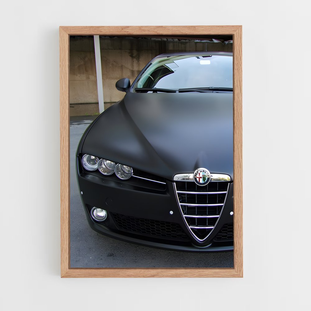 ap-alfa romeo-5 cadre Bois clair