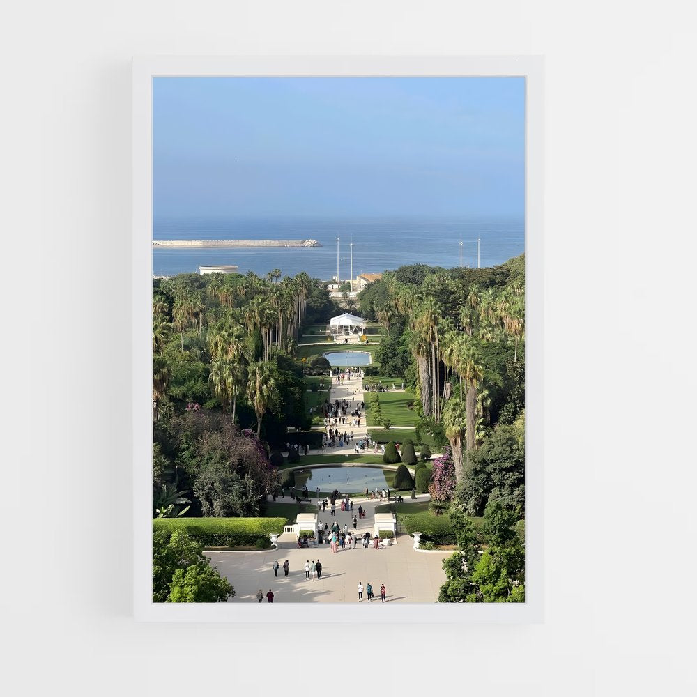 ap-algiers-8 cadre Blanc