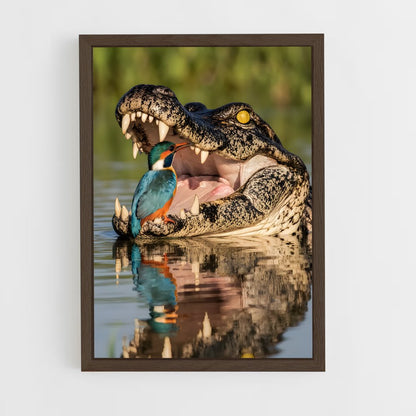 ap-alligator-1 cadre Bois foncé