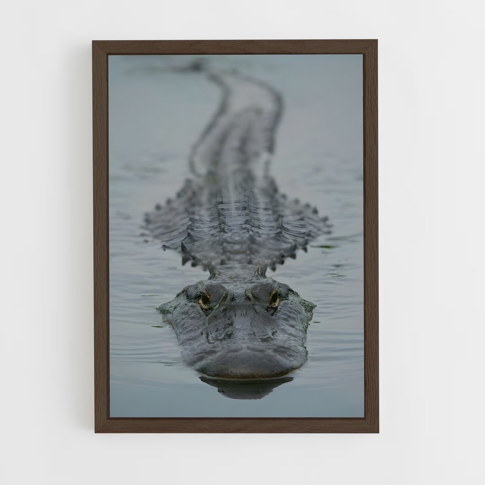 ap-alligator-2 cadre Bois foncé