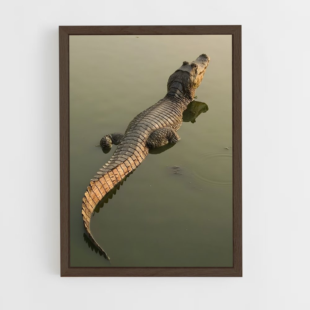 ap-alligator-5 cadre Bois foncé