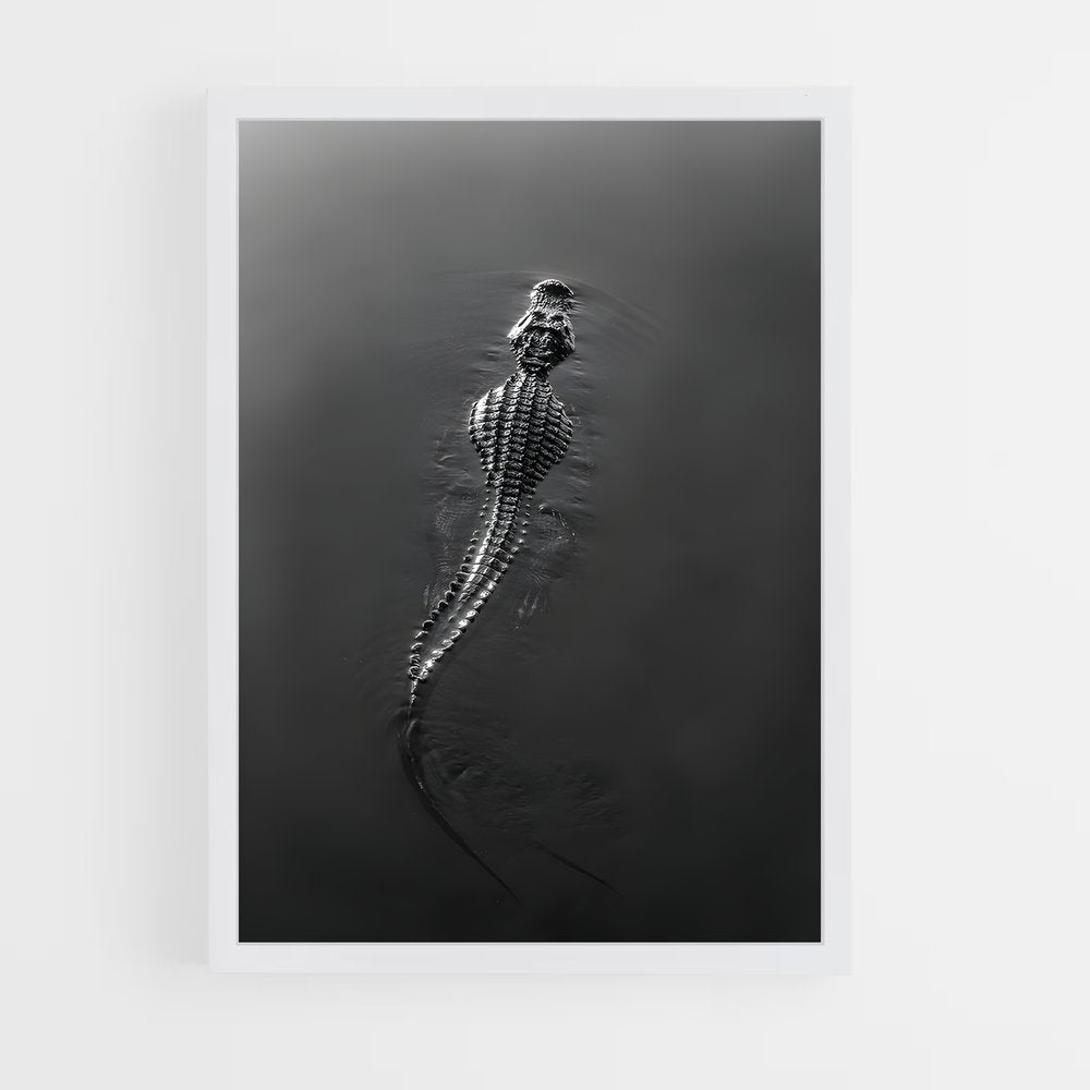 ap-alligator-8 cadre Blanc