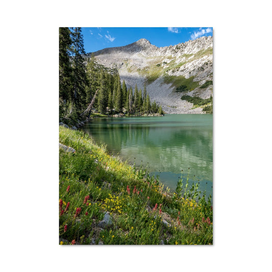 Poster Alpine lake 97013