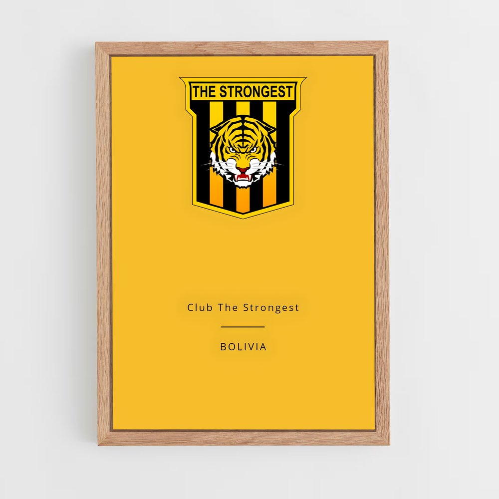 ap-always ready football club bolivia-3 cadre Bois clair