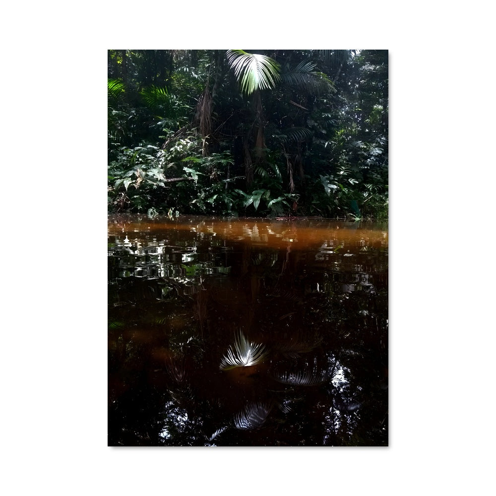 Poster Oasis Amazone