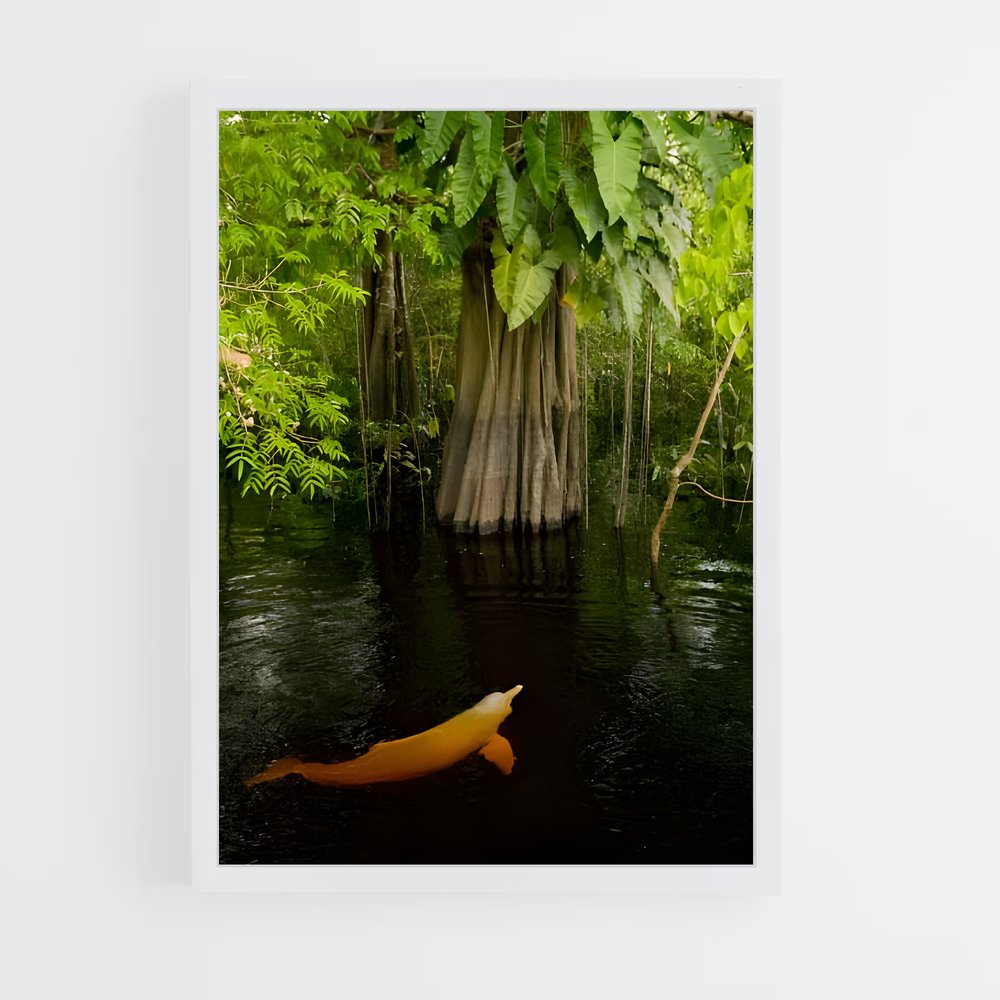 ap-amazon rainforest-1 cadre Blanc