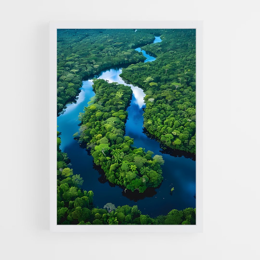 ap-amazon rainforest-2 cadre Blanc
