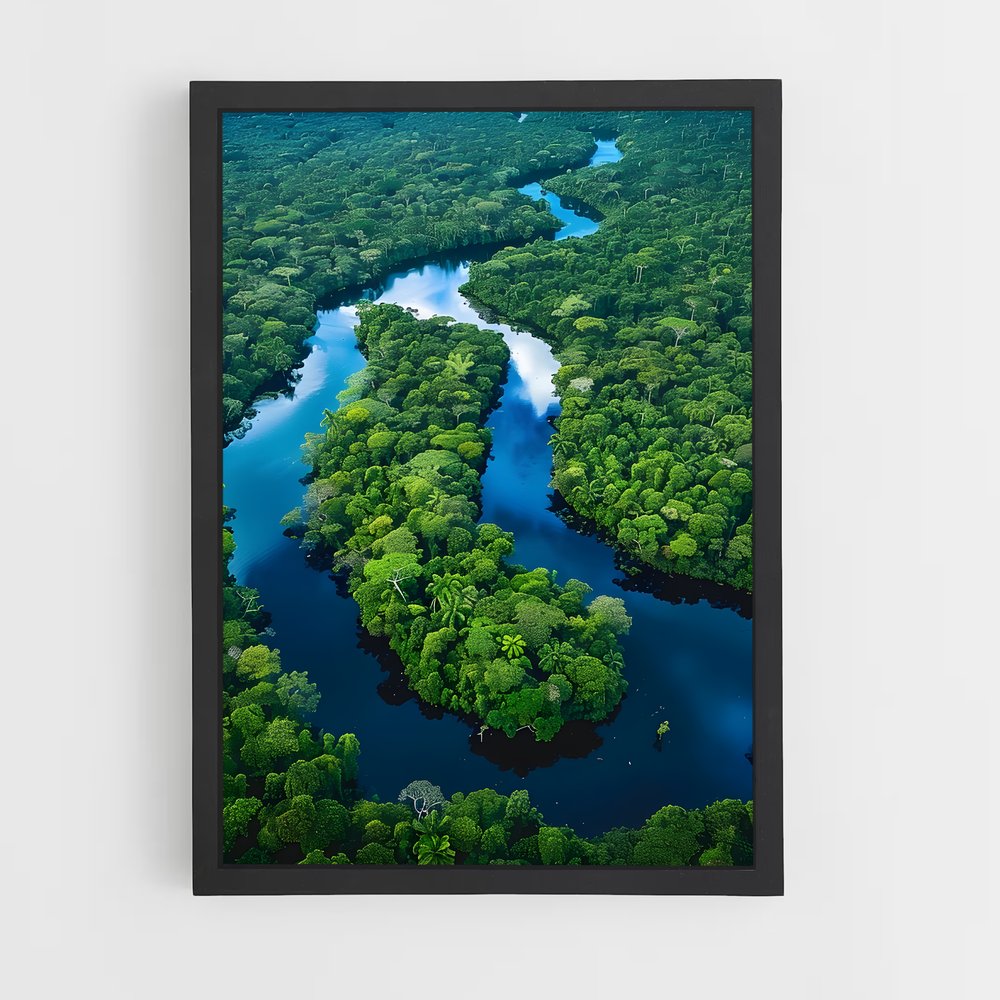 ap-amazon rainforest-2 cadre Noir