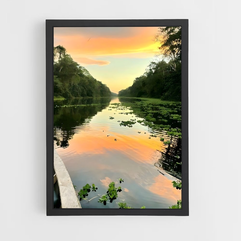 ap-amazon rainforest-4 cadre Noir