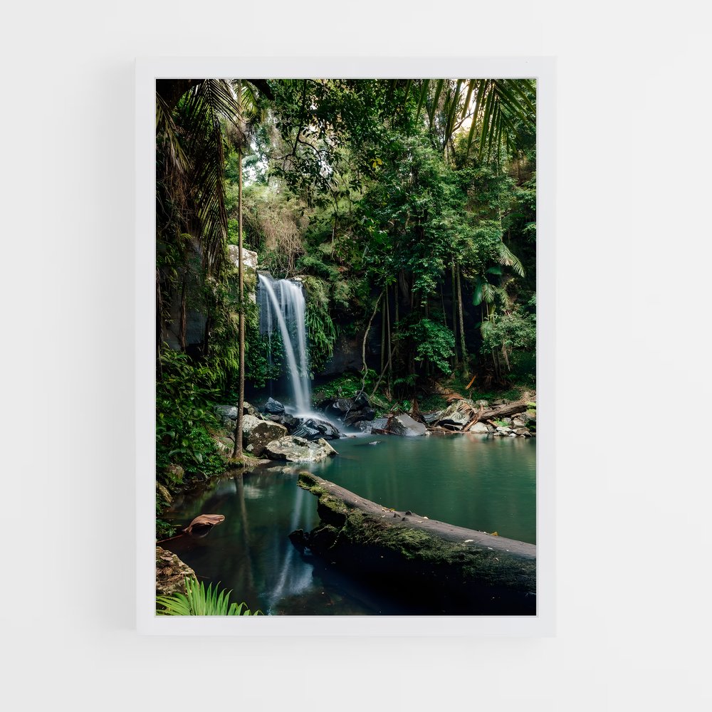 ap-amazon rainforest-6 cadre Blanc
