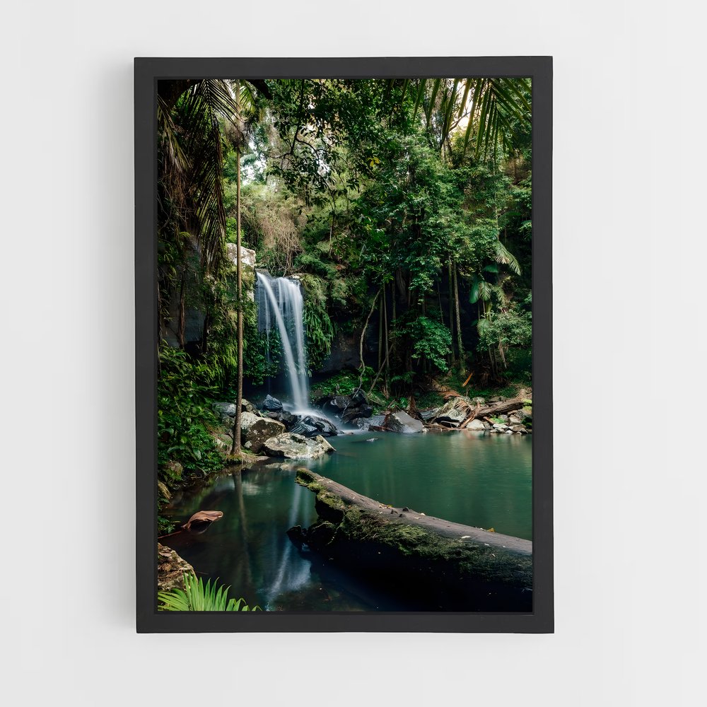 ap-amazon rainforest-6 cadre Noir