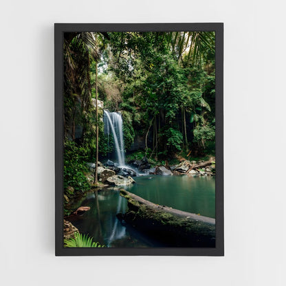 ap-amazon rainforest-6 cadre Noir