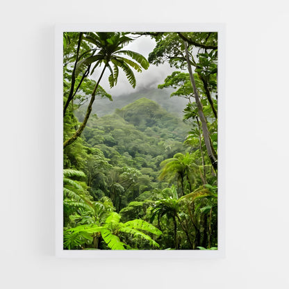 ap-amazon rainforest-7 cadre Blanc
