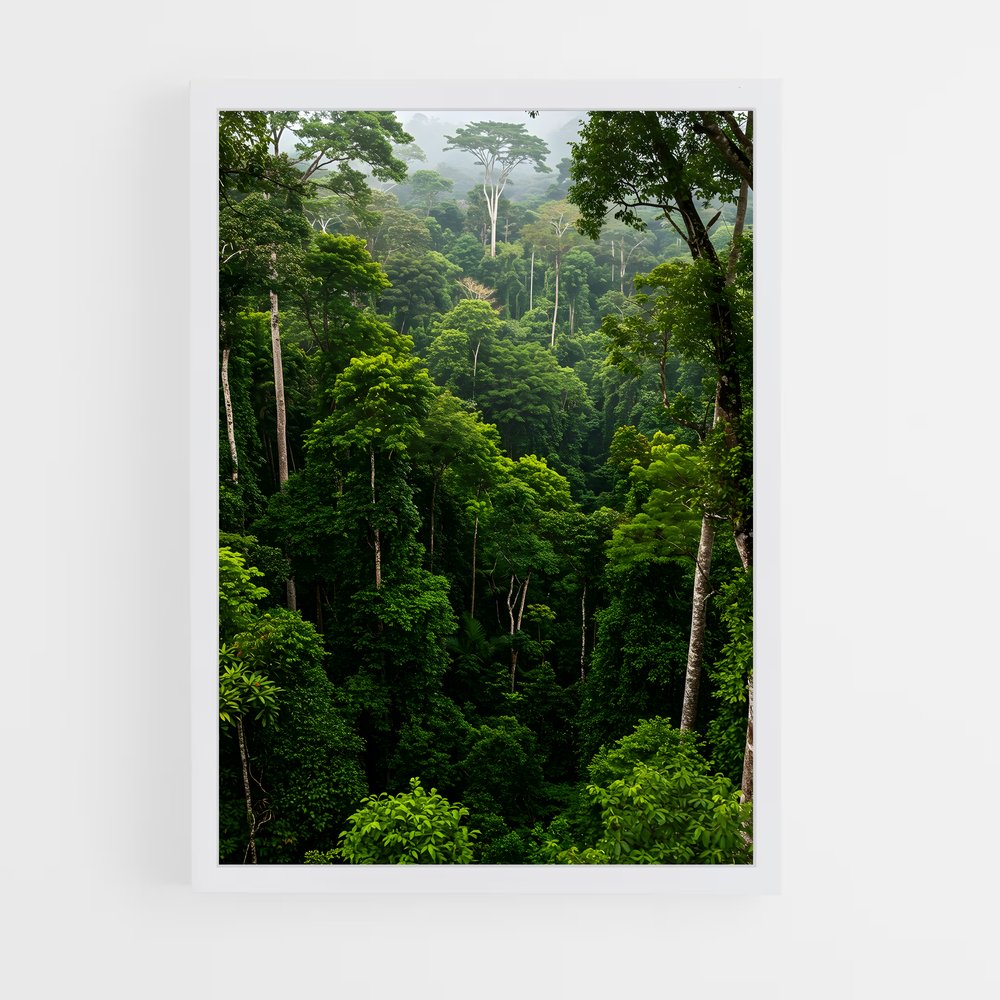 ap-amazon rainforest-9 cadre Blanc