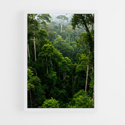 ap-amazon rainforest-9 cadre Blanc