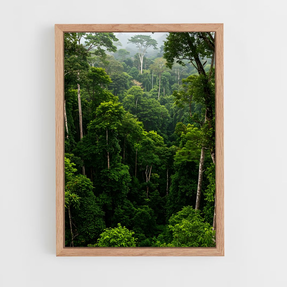 ap-amazon rainforest-9 cadre Bois clair