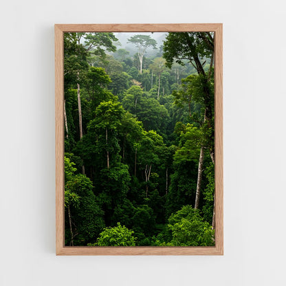 ap-amazon rainforest-9 cadre Bois clair