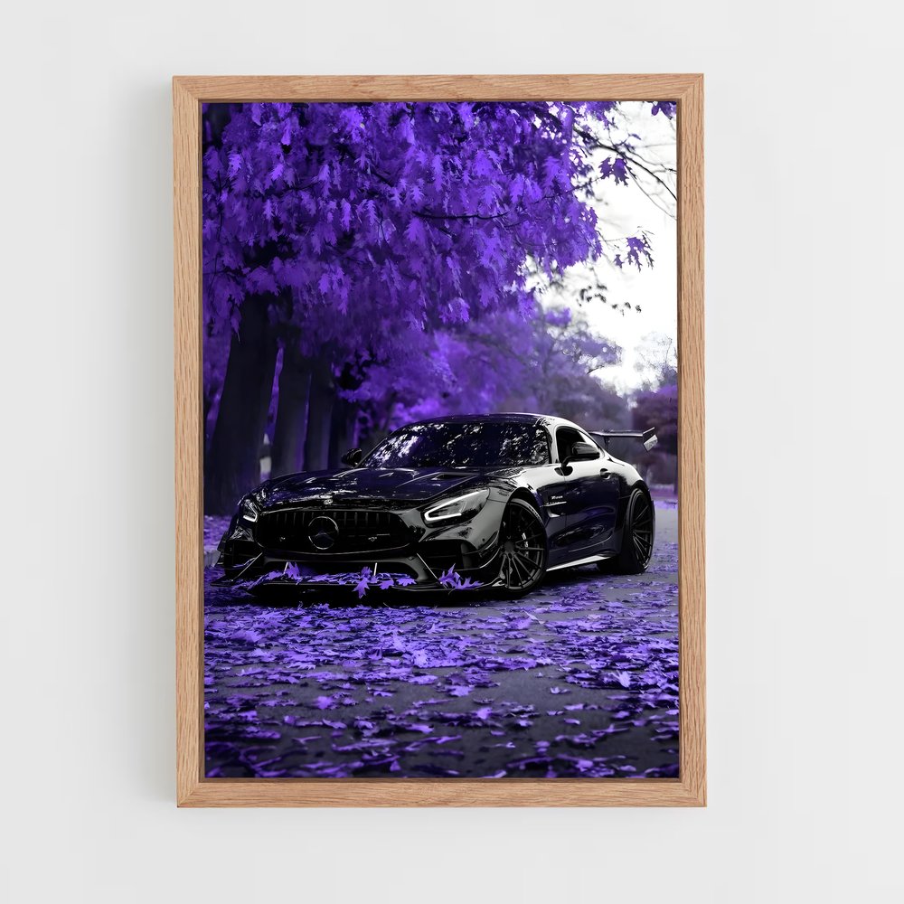 ap-amg gt-1 cadre Bois clair