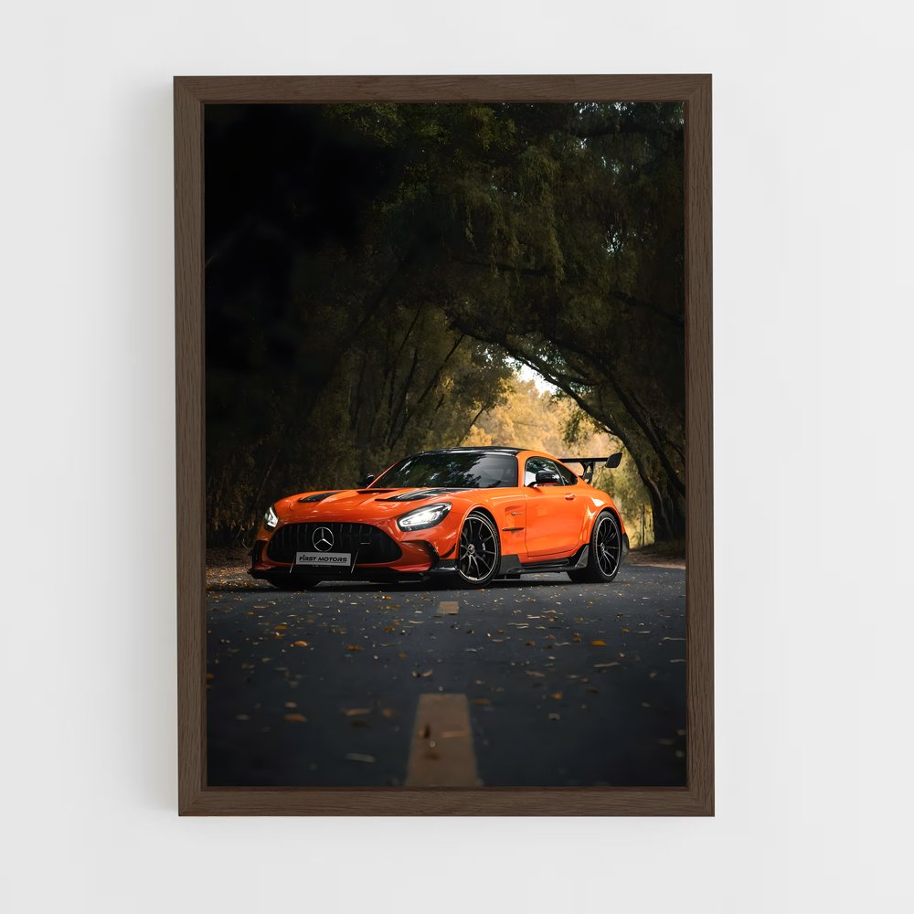 ap-amg gt-9 cadre Bois foncé