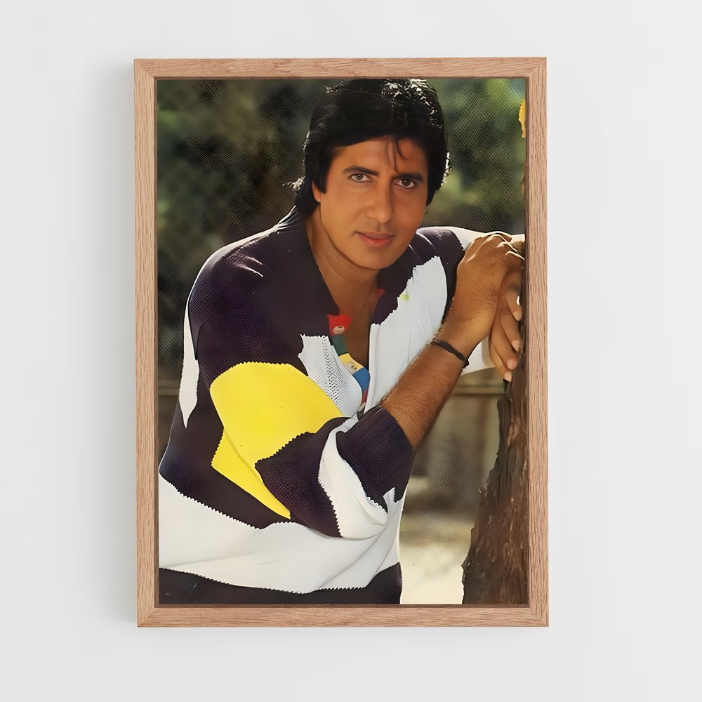 ap-amitabh bachchan-3 cadre Bois clair