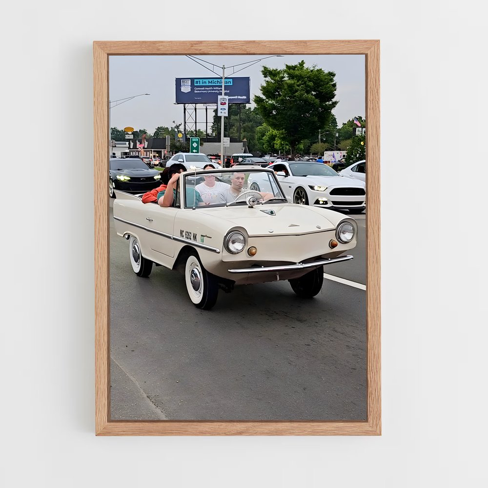 ap-amphicar-2 cadre Bois clair