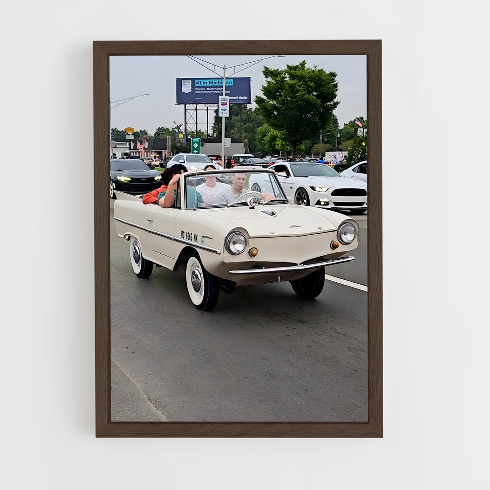 ap-amphicar-2 cadre Bois foncé