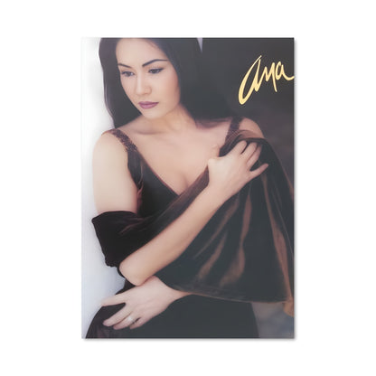 Poster Ana gabriel 50720