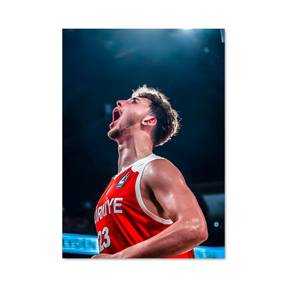 Poster Anadolu efes basketball 58808