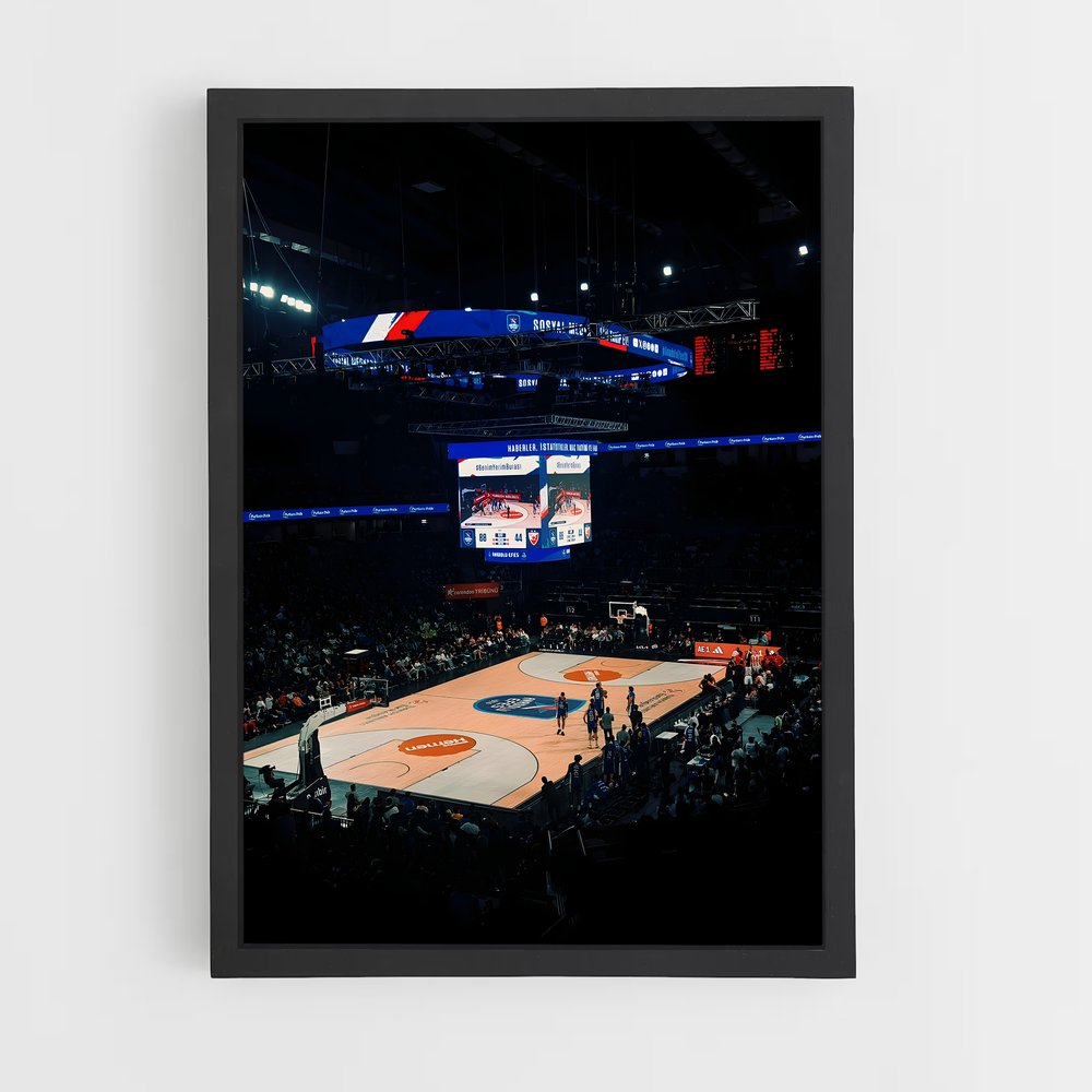 ap-anadolu efes basketball-1 cadre Noir