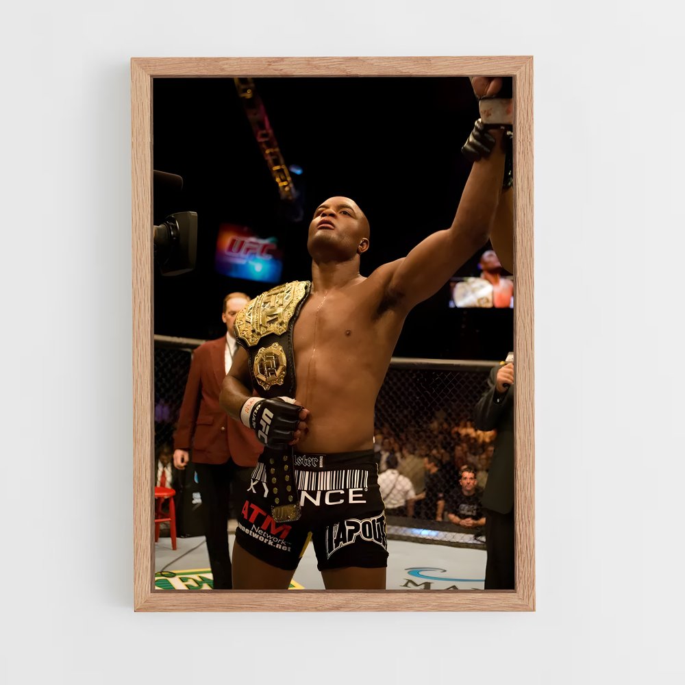 ap-anderson silva-3 cadre Bois clair