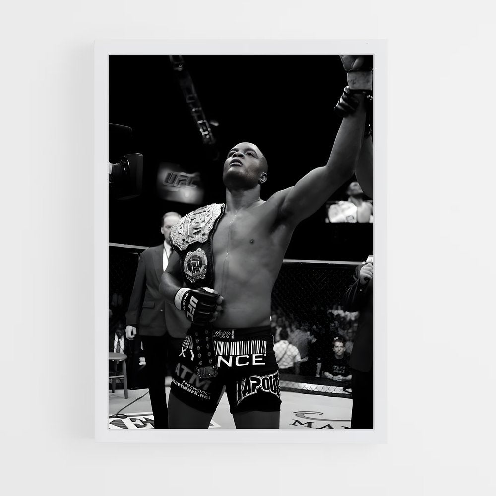 ap-anderson silva-4 cadre Blanc