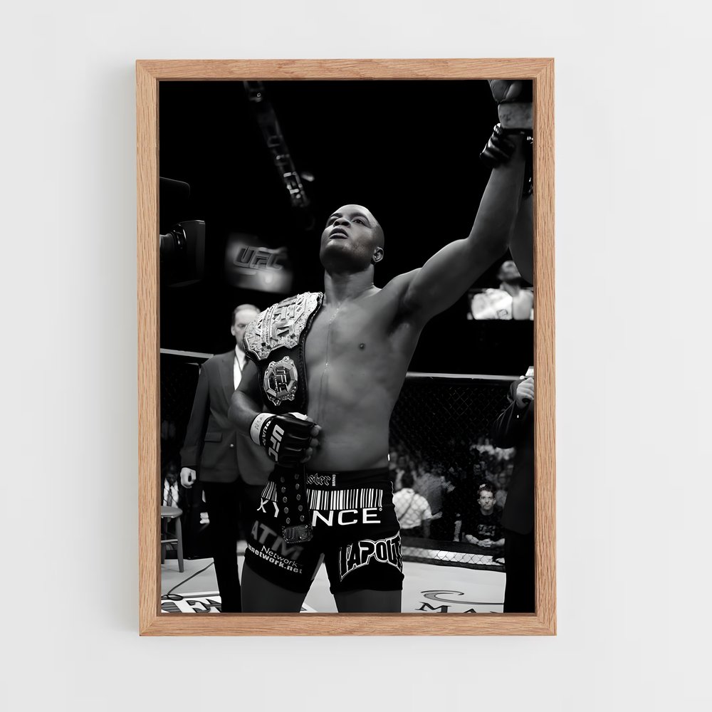 ap-anderson silva-4 cadre Bois clair