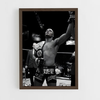 ap-anderson silva-4 cadre Bois foncé