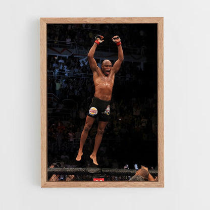 ap-anderson silva-6 cadre Bois clair