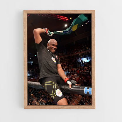 ap-anderson silva-7 cadre Bois clair