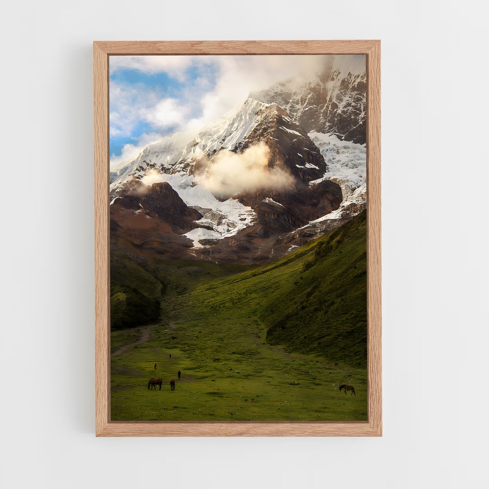 ap-andes mountains-1 cadre Bois clair