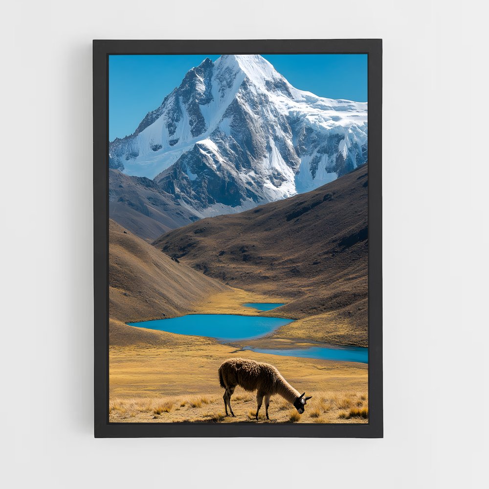 ap-andes mountains-3 cadre Noir