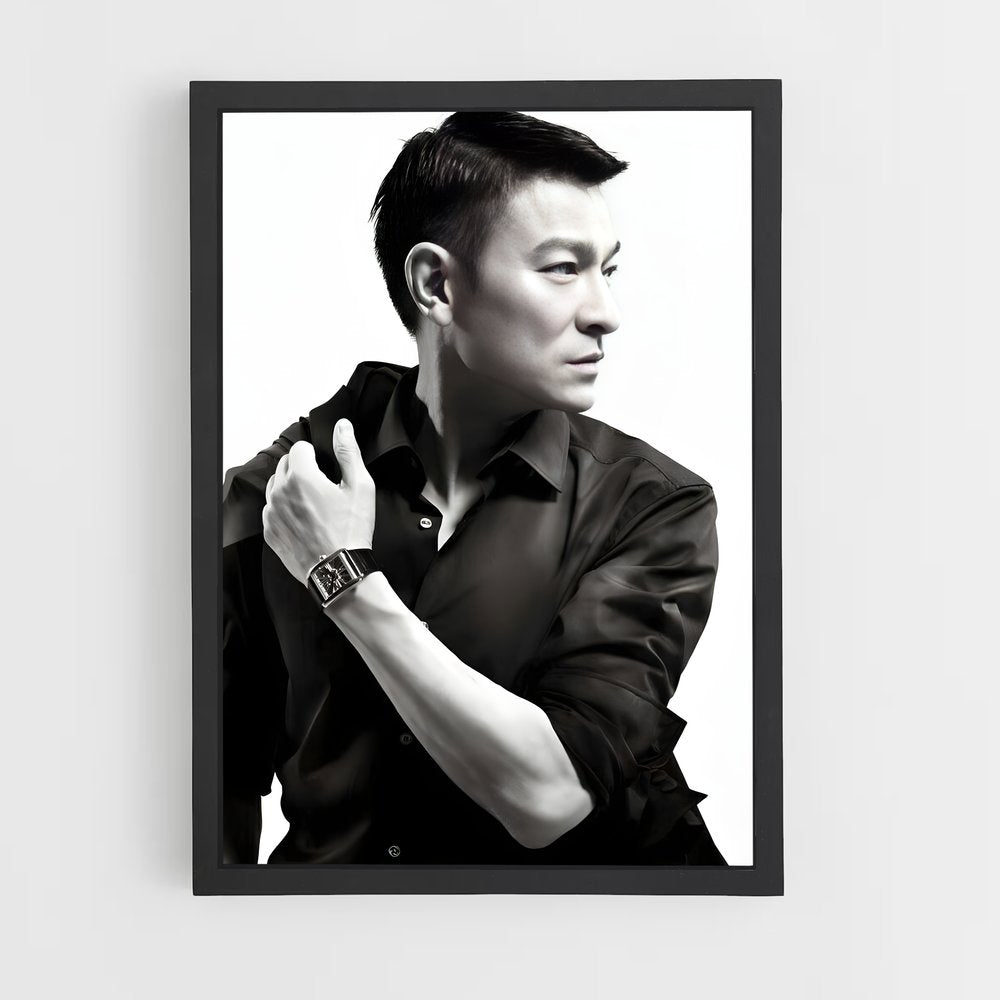 ap-andy lau-6 cadre Noir