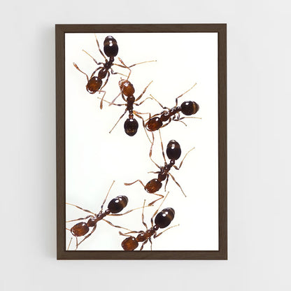 ap-ant-5 cadre Bois foncé