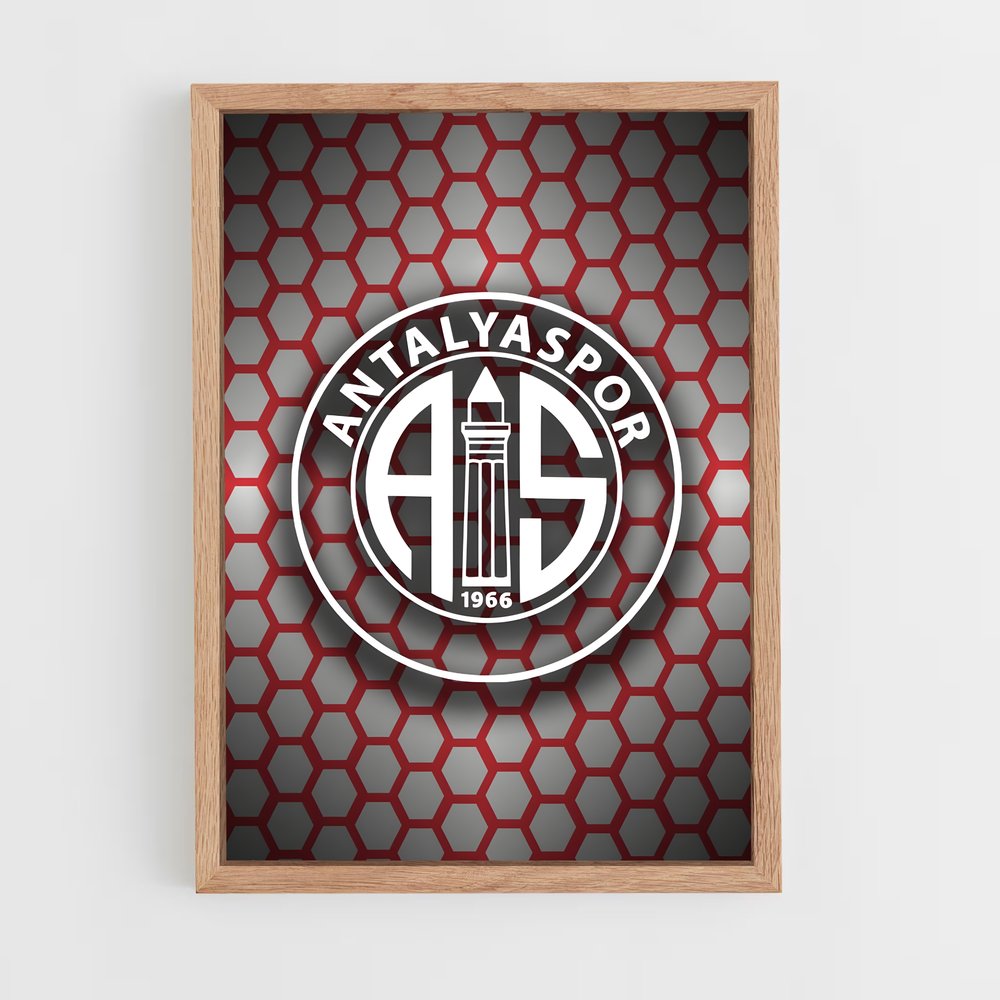 ap-antalyaspor-8 cadre Bois clair