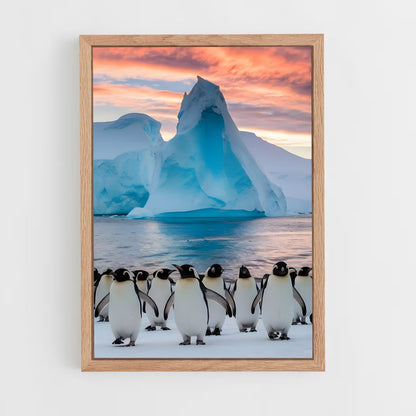 ap-antarctica-2 cadre Bois clair