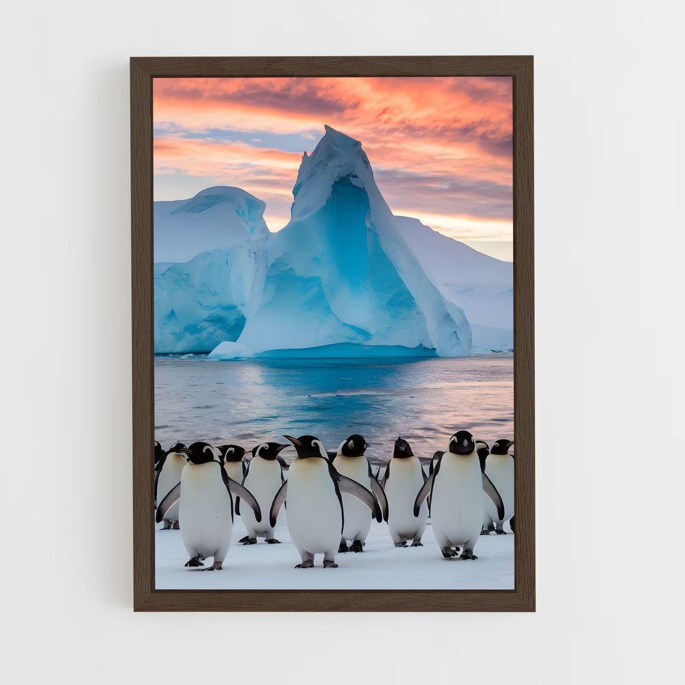 ap-antarctica-2 cadre Bois foncé