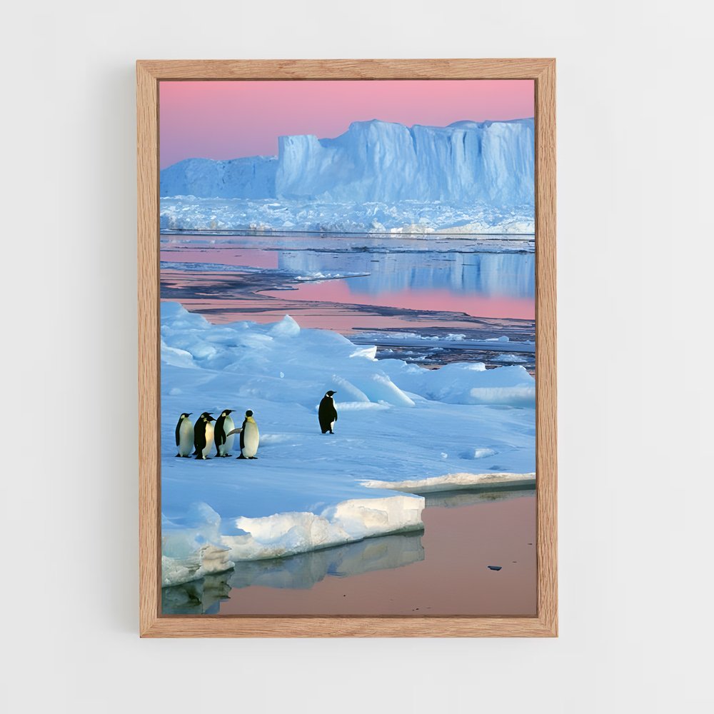 ap-antarctica-3 cadre Bois clair